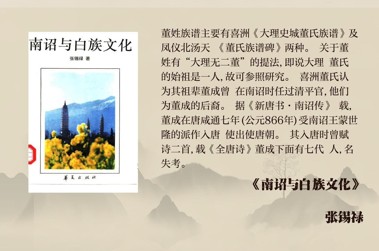 大理董氏家谱的历史与演变
