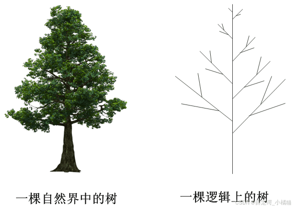 数据结构——树