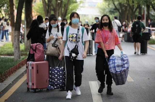 00后"整顿"职场：高失业率背后的挑战与机遇