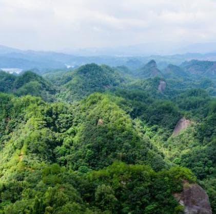 天柱峰旅游攻略：最佳路线与必游景点推荐 🌄