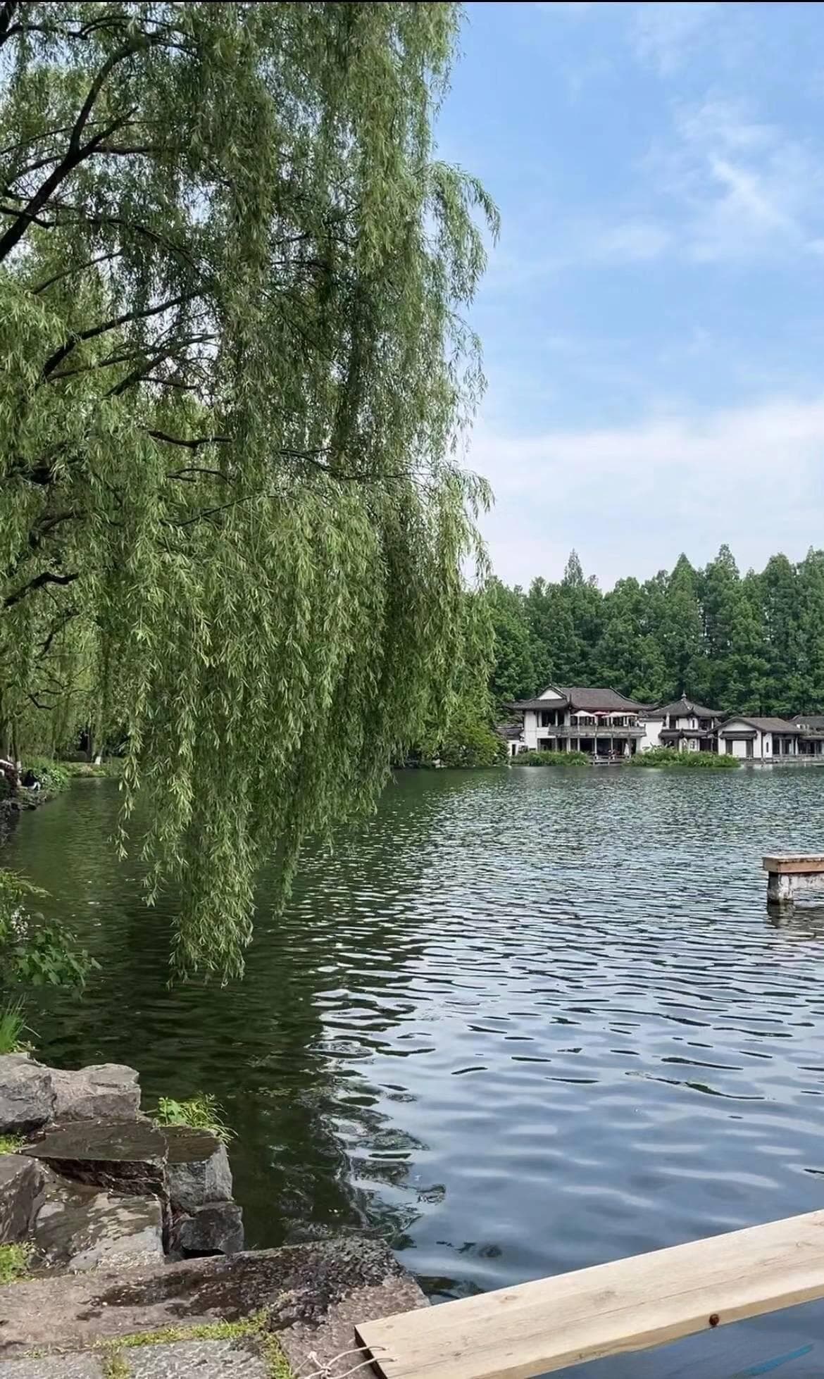 苏杭十大景点：园林之美与湖光山色