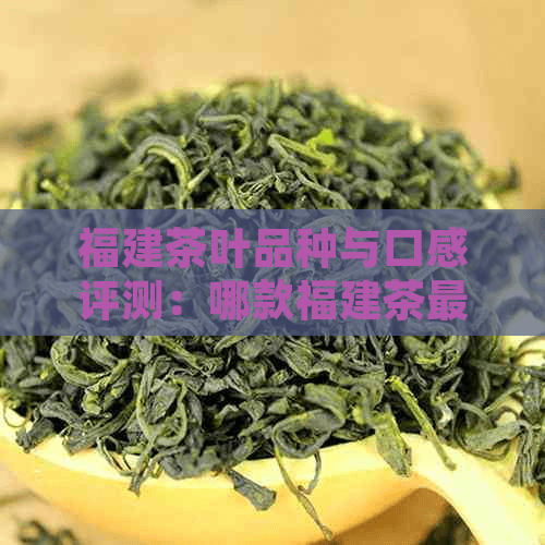 福建茶叶品种与口感评测：哪款福建茶最值得一试？