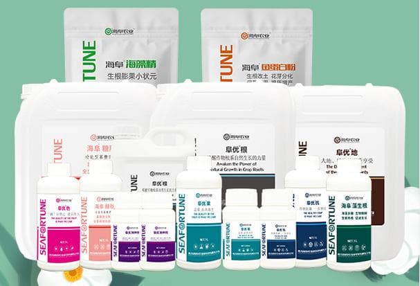 水溶肥的正确使用方法 高效施肥技巧与注意事项