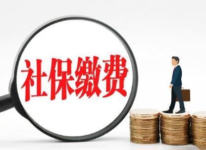 2025年社保缴纳最新规定：养老、医疗等多方面调整