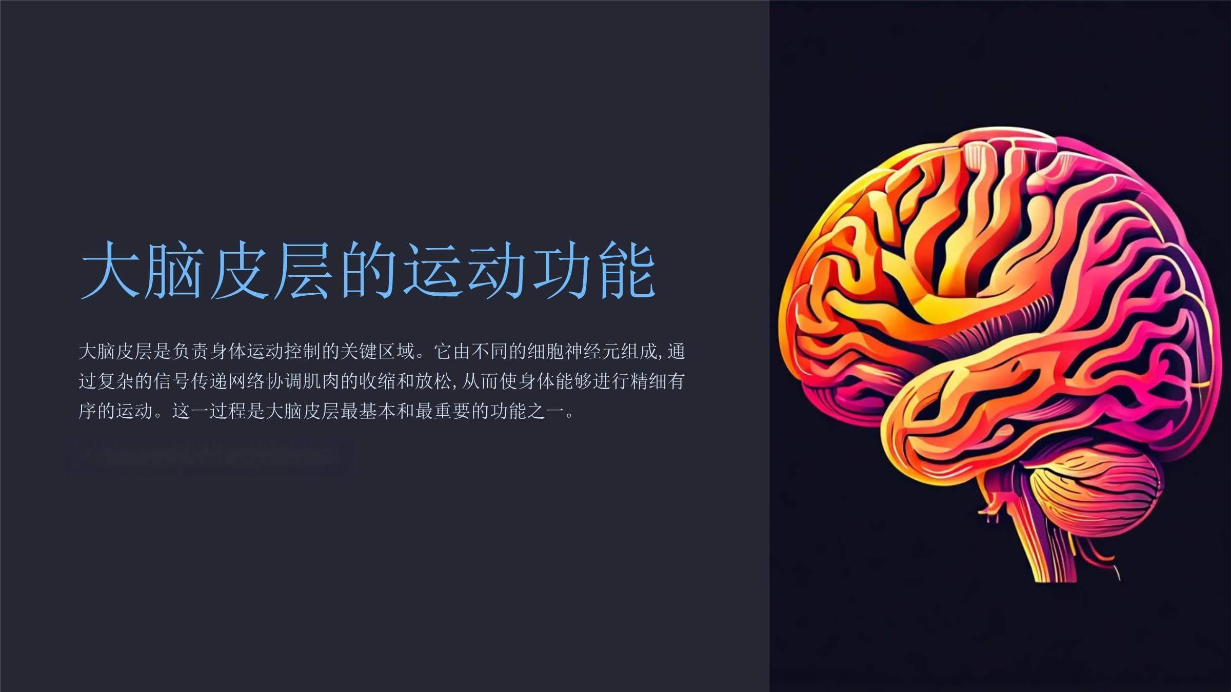 大脑皮层的运动功能
