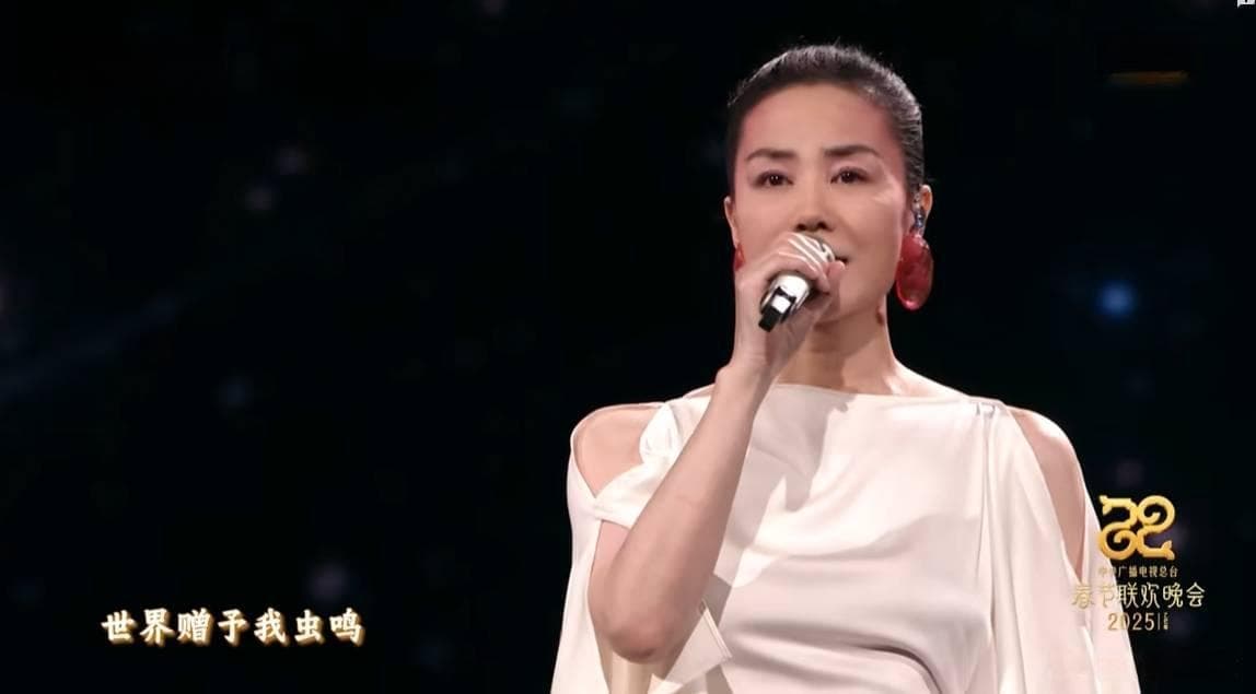2025央视蛇年春晚回顾：王菲第五次献唱，十大亮点与不足