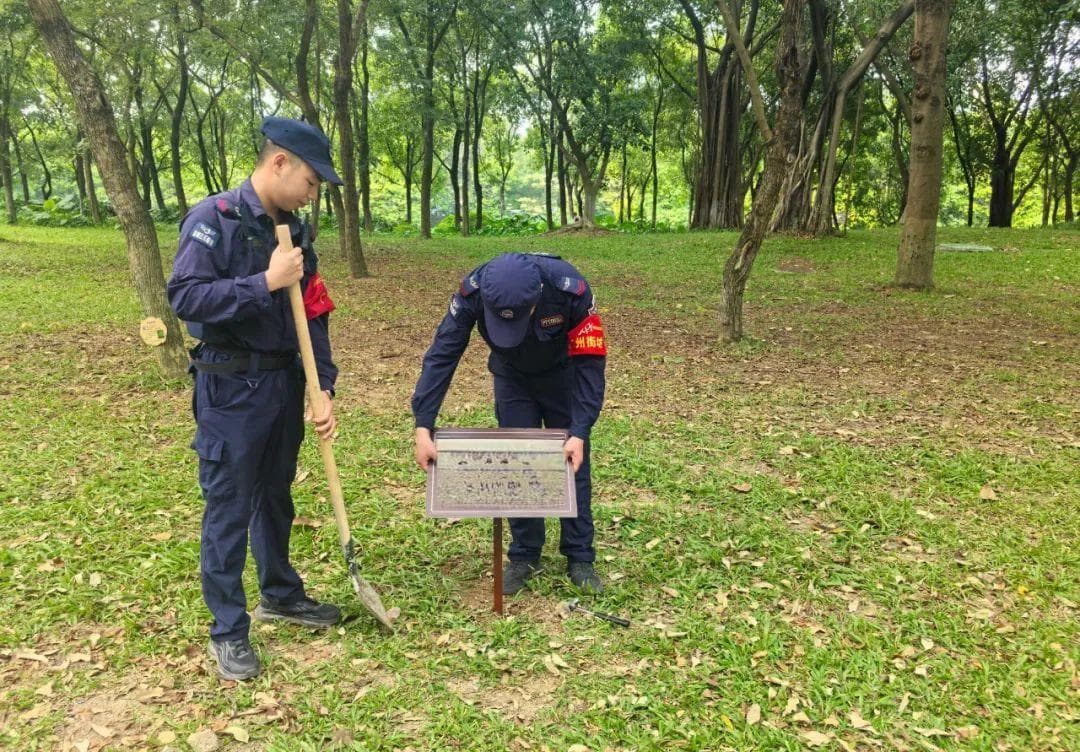 防蛇指南：从识别到急救的全面防护攻略