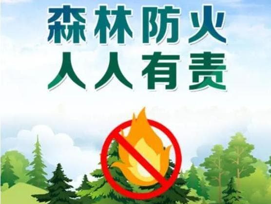森林防火知识宣传：从我做起，守护绿色家园