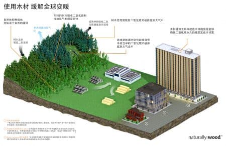 加拿大可持续森林管理实践