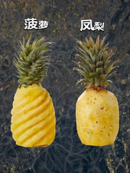 菠萝和凤梨的区别：从外观到口感的全面解析