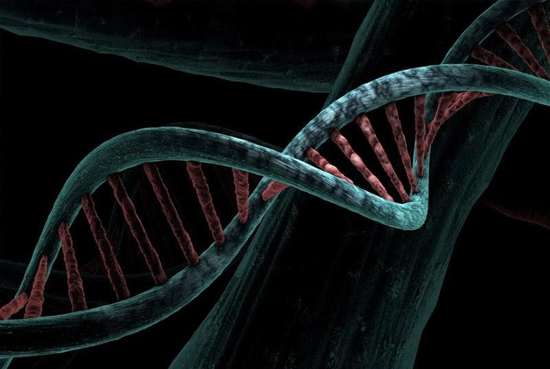 深入解析：免疫细胞表面标志物在疾病诊断和治疗中的关键作用