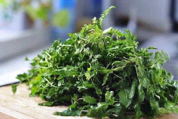 荠菜和曲麻菜：两种被忽视的野菜“宝藏”