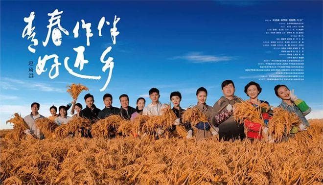 专家解读：返乡体热度下降背后的乡愁新变