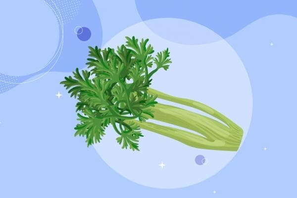 羊肉配芹菜：营养互补又去膻，5种搭配方案全解析