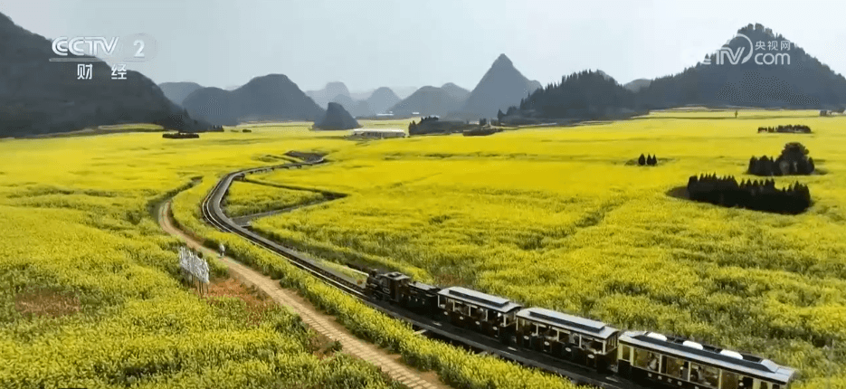 从"春日限定"到"四季长青" "花"文旅融合为乡村振兴"增色添香"
