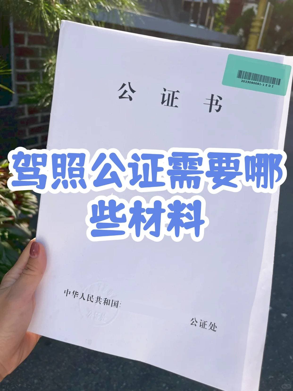 驾照公证需要哪些材料