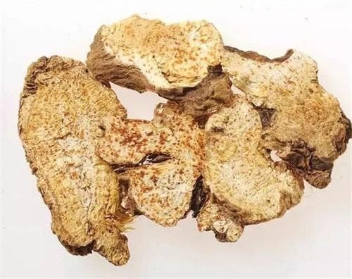 苍术的药用价值及食用方法