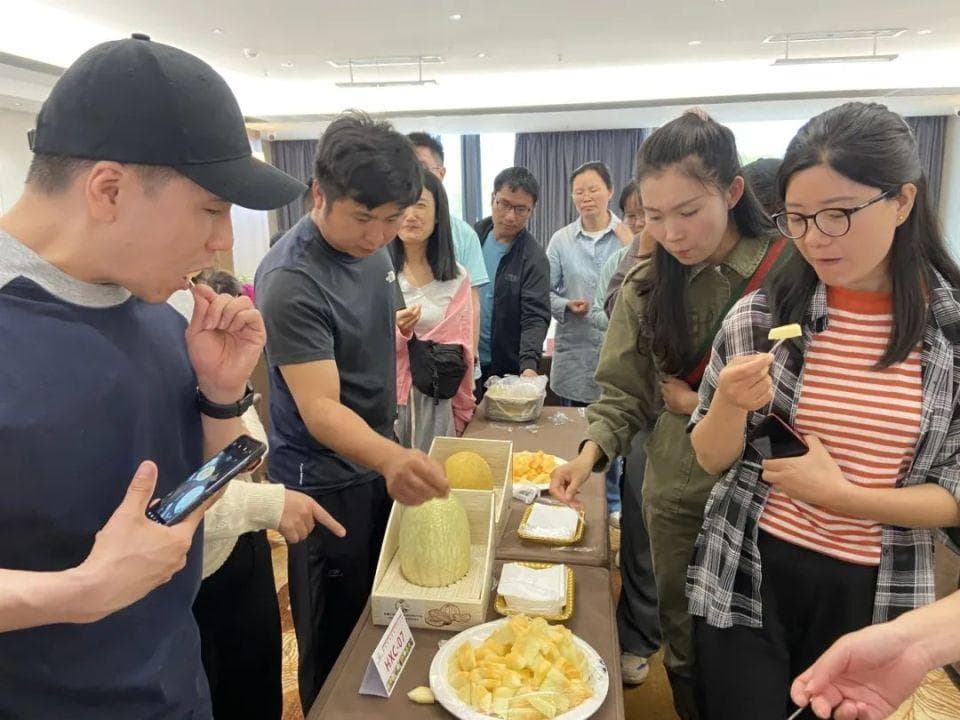 新疆甜瓜西昌种 40余个适种品种将实现“吃瓜”自由