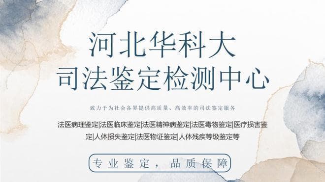 辛集工伤鉴定必读指南：类型、流程与结果应用详解