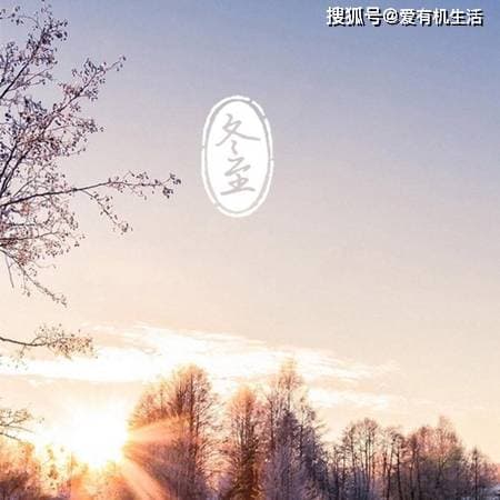 冬至习俗：冬至为什么要吃饺子
