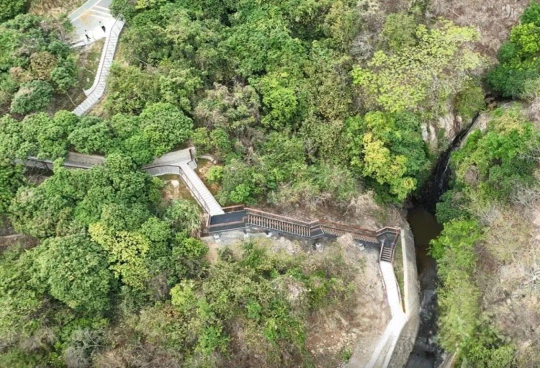 塘朗山栈道：深圳人徒步登山新选择