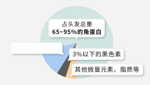 头发又粗又硬VS头发又细又软，哪种更容易秃？