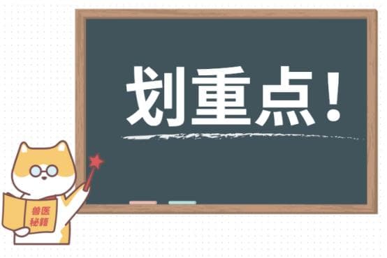 猫掉毛严重？这5个原因你必须知道！