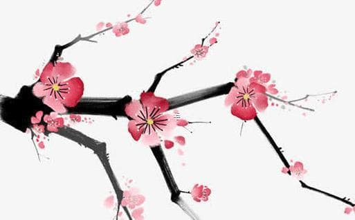 八字流年如何判断买车时机 八字流年看购车结婚