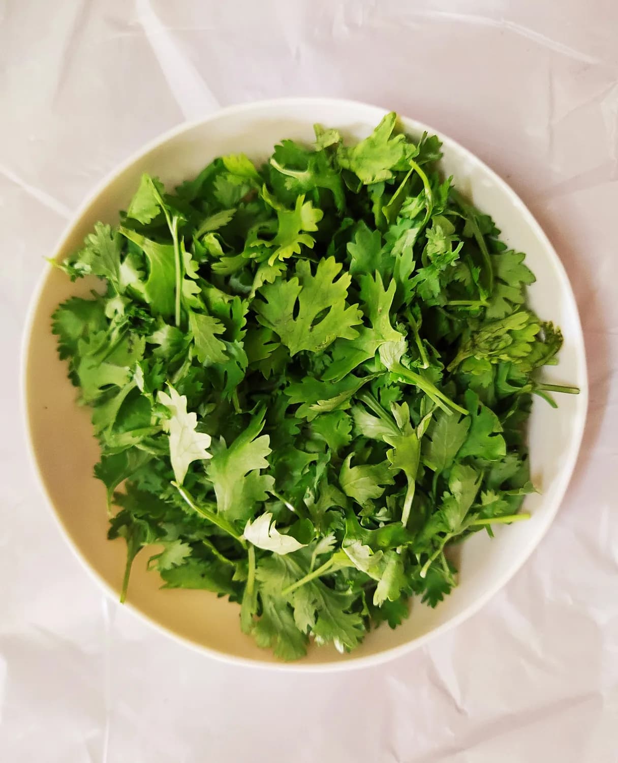 凉拌香菜：夏日餐桌上的清新美味
