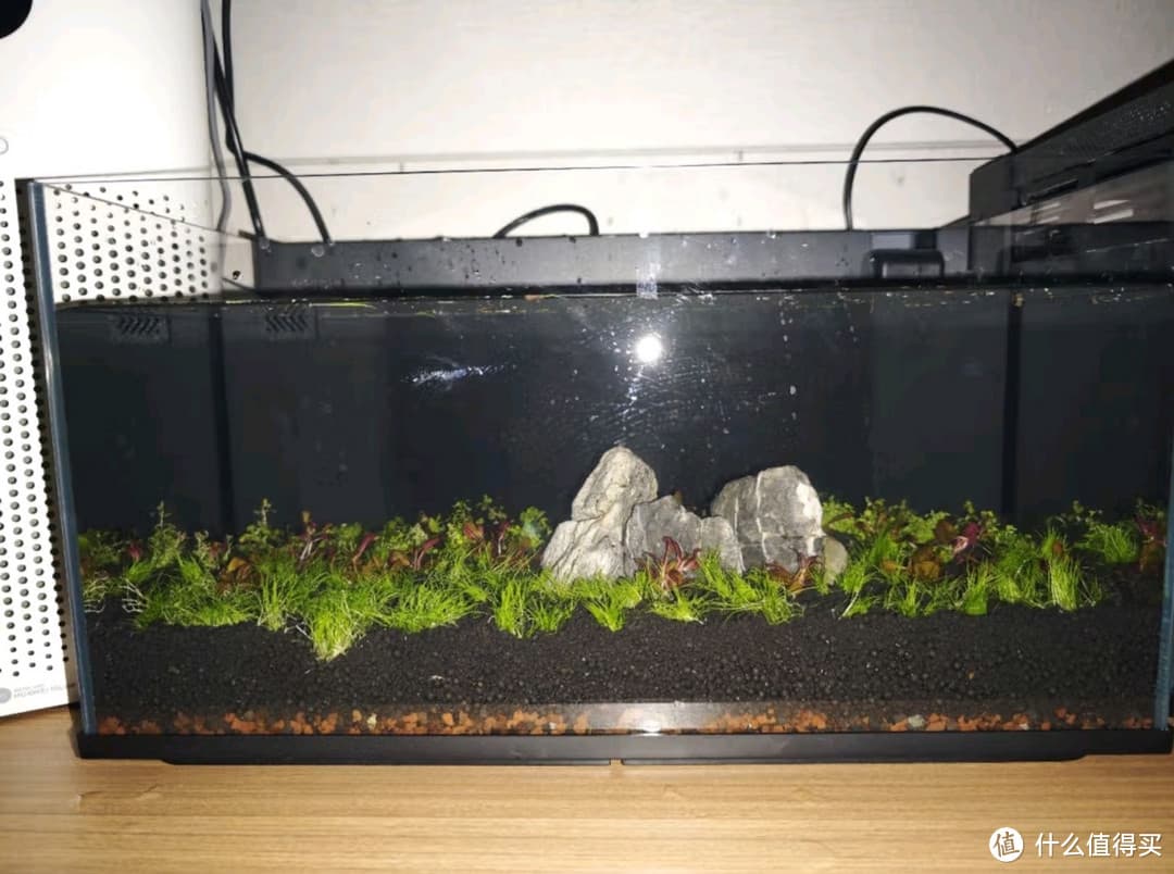 水草泥的优点~