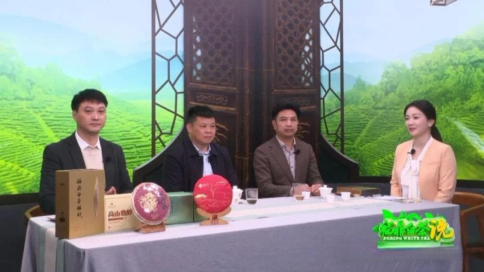 《福鼎白茶说》——白牡丹迎春