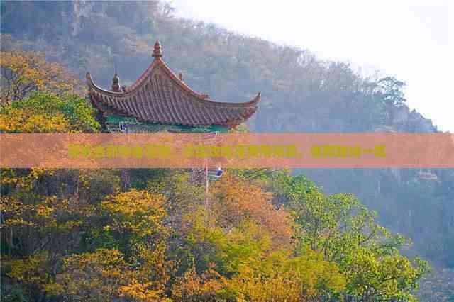 深圳去新疆自驾游：详细攻略及费用预算，推荐路线一览