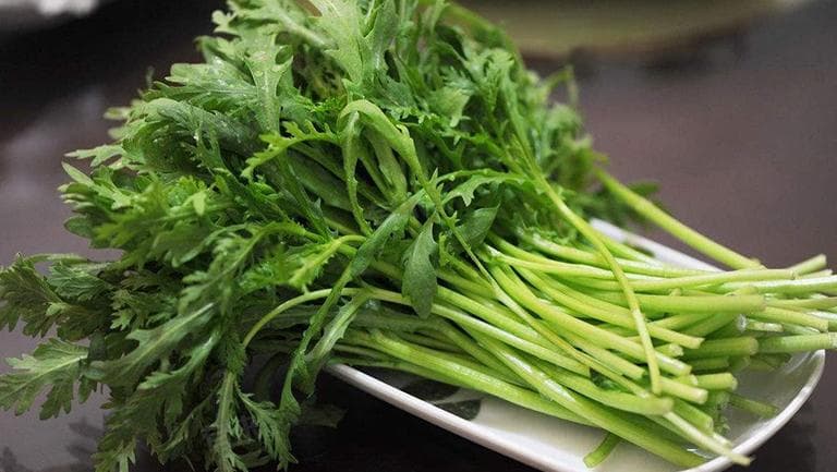 痛风能吃茼蒿吗