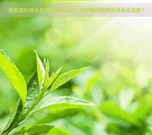 喝红茶对消化系统有哪些益处？红茶如何帮助改善消化功能？