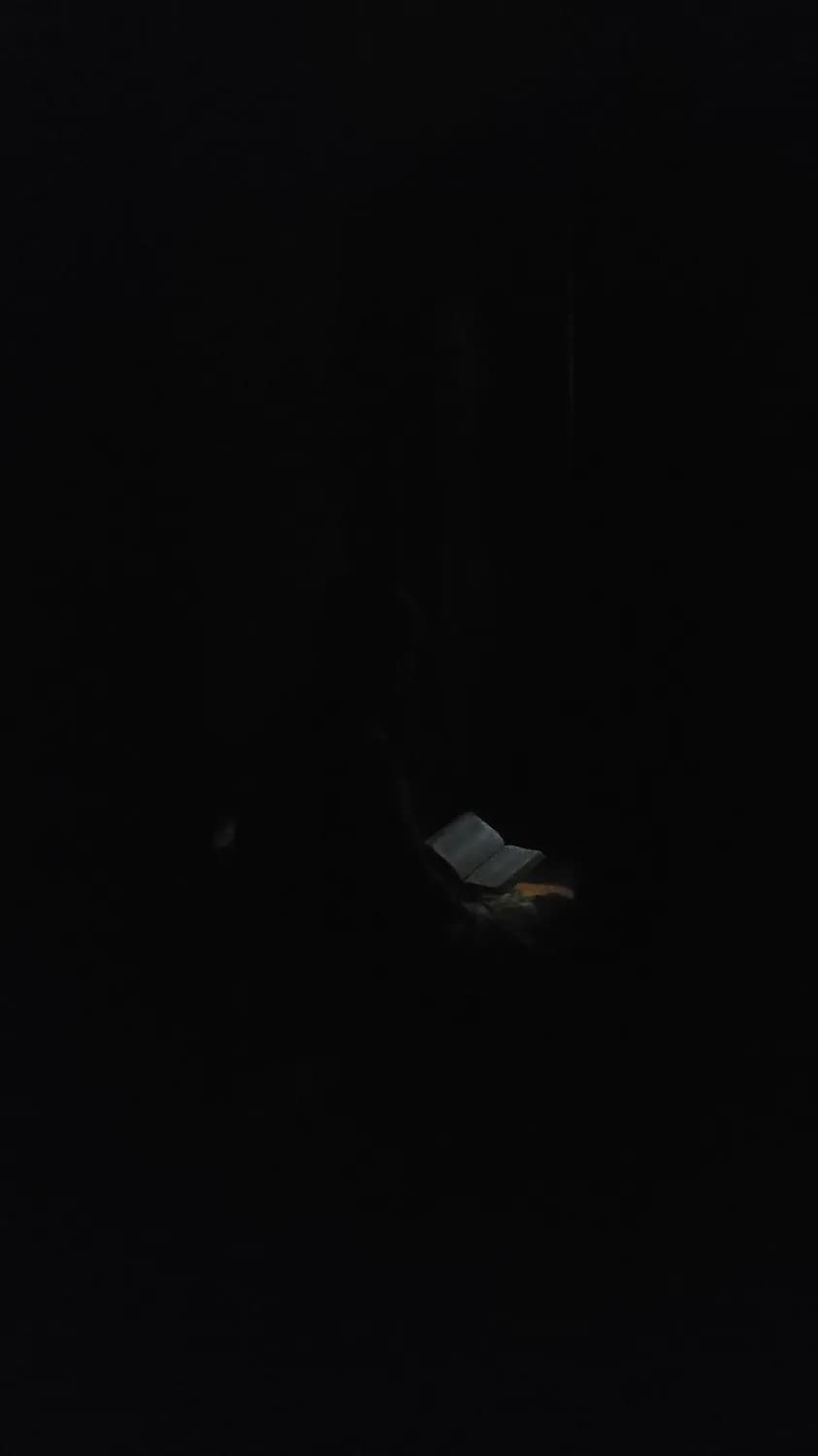 《夜书所见》中的隐秘之月