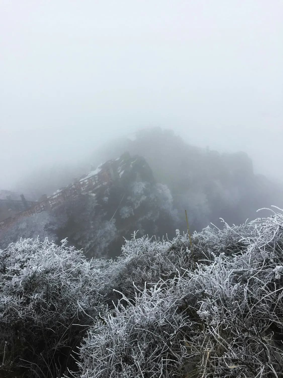 南岳衡山冬季雾凇奇景，你准备好去打卡了吗？