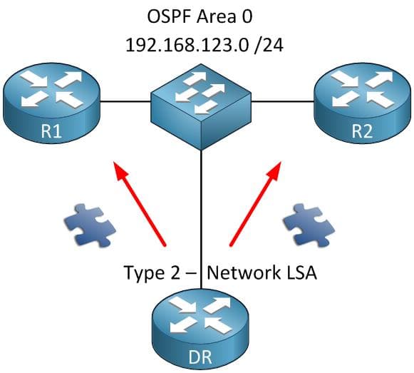 一文详解OSPF七种LSA类型：从基础到应用