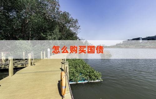 怎么购买国债？操作指南
