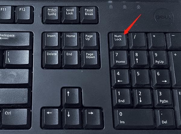 笔记本数字键盘打不出数字？4种方法帮你轻松解决