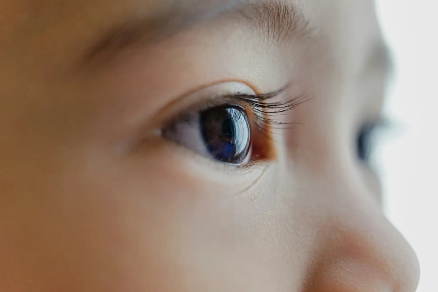 《儿童青少年近视中西医结合诊疗指南》发布：科学防控近视有新招