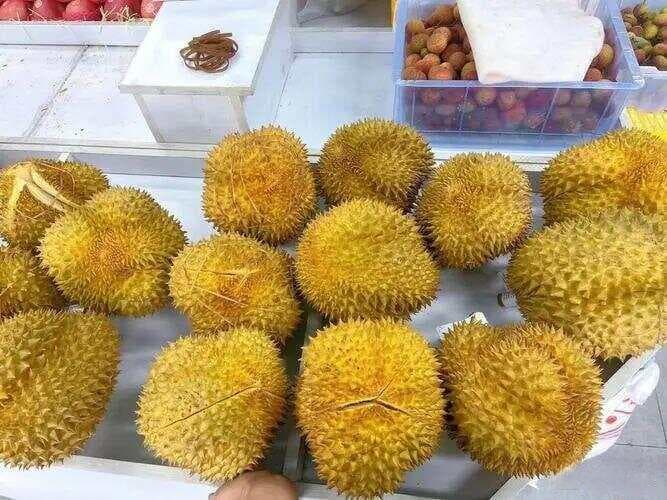 榴莲怎么选最划算？老果农透露：专挑“母”的，肉多又香甜！