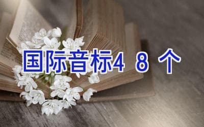 国际音标48个