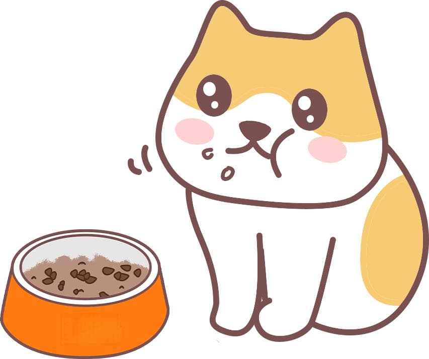 猫咪呕吐最有效的止吐办法：科学应对与紧急处理指南