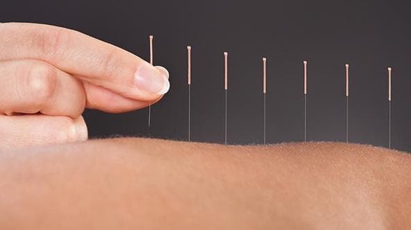 秋季养生重养肺，这些食物助您润肺清热
