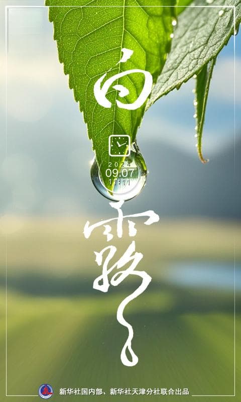 节令之美｜当白露遇上中秋，诗意和浪漫几许？