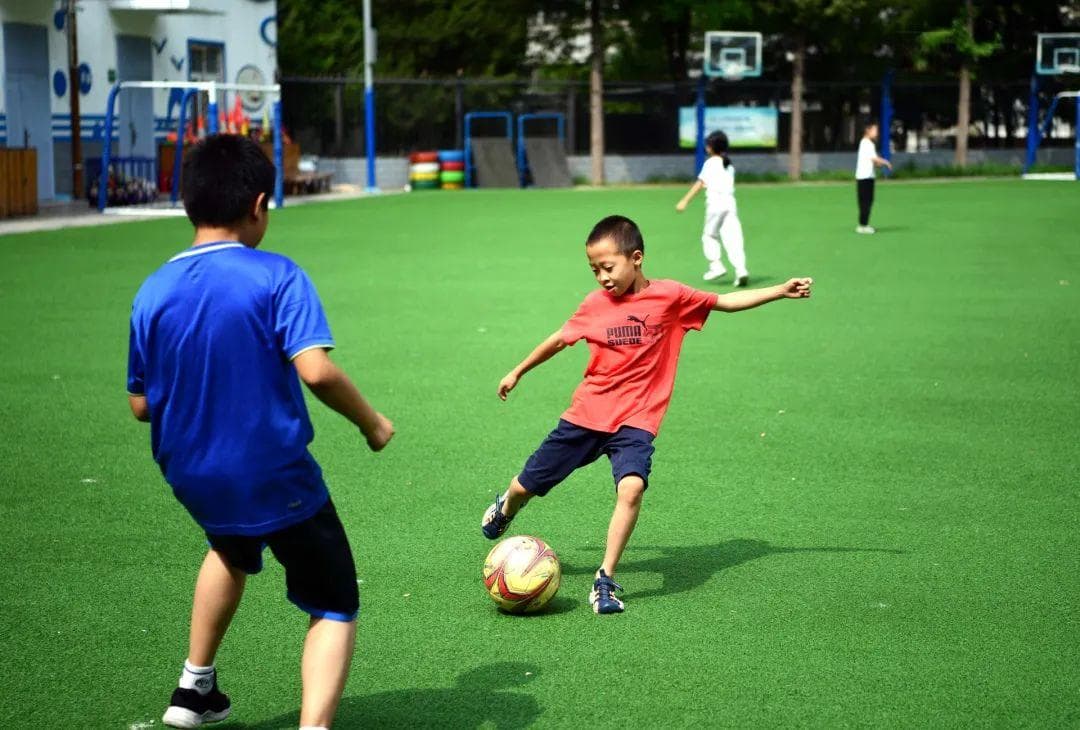 北京中小学暑期开放体育场馆，各区将“一校一策”制定细则