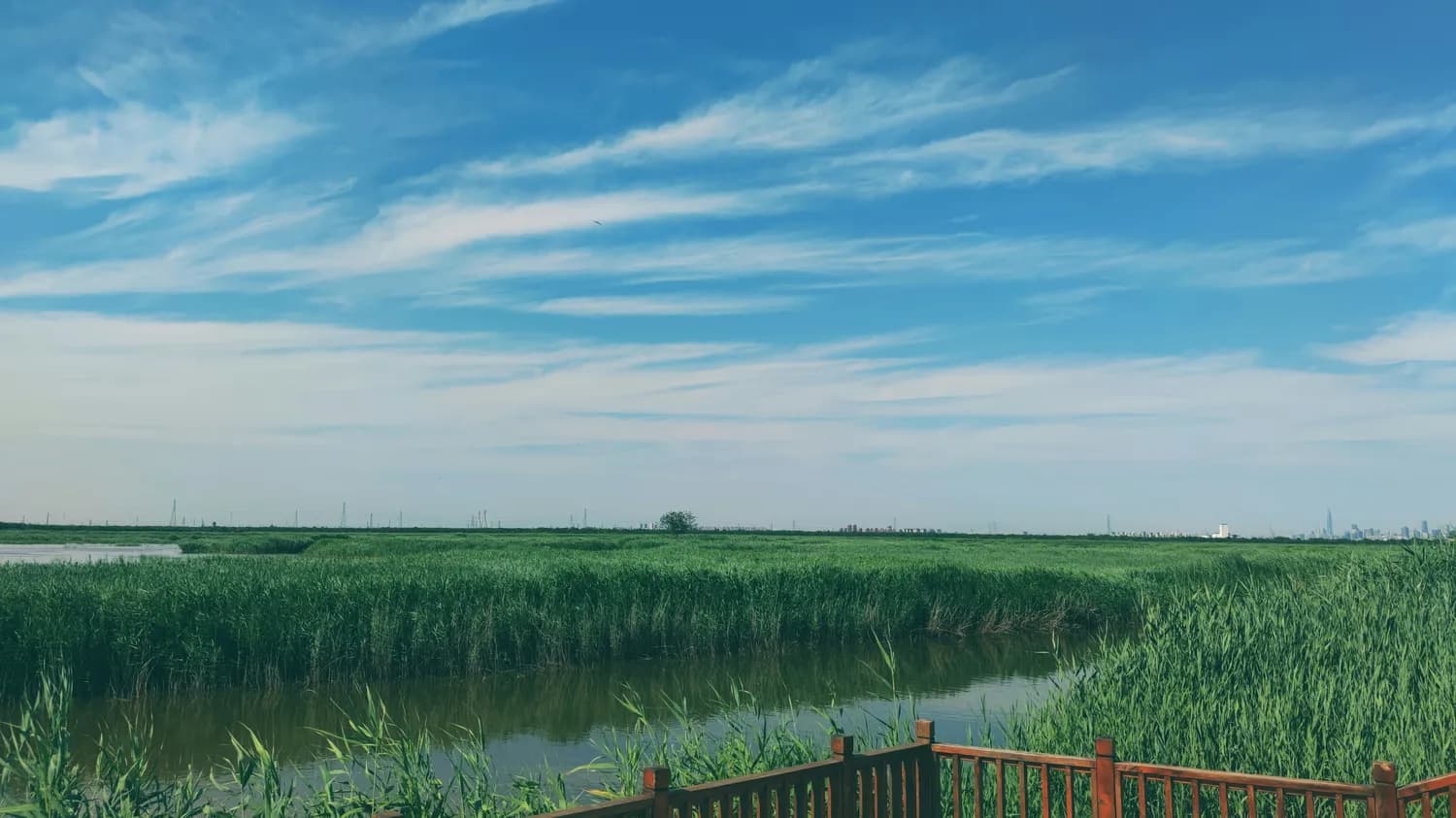 杭州湾湿地公园：慈溪最美自然景观推荐