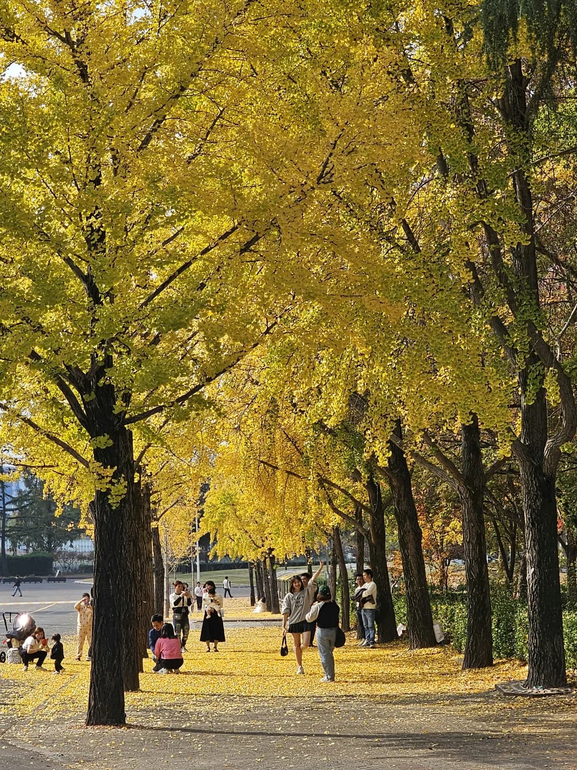 栋青路：贵阳最美秋景打卡地