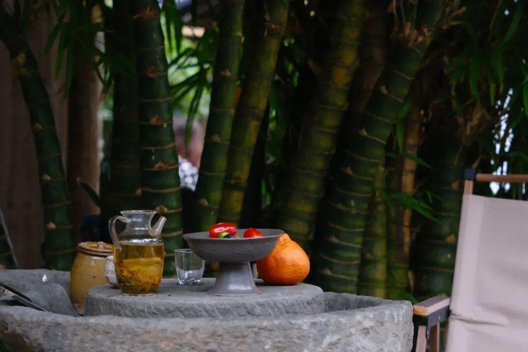 一年之计在于春，春天喝什么茶？