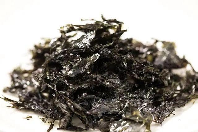 紫菜有保质期吗？紫菜放多久会“变质”？